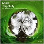 cover: Abide - Perpetuity