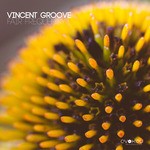 cover: Vincent Groove - Fair Frequency