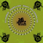 cover: Dj Hybrid - Down Low/What You Gonna Do