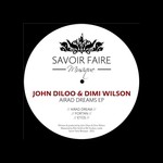 cover: Dimi Wilson|John Diloo - Airad Dreams EP