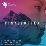 cover: Vinylvortex - Lost In Your Eyes