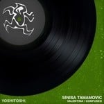 cover: Sinisa Tamamovic - Valentina