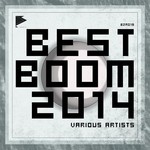 cover: Various - Best Boom 2014