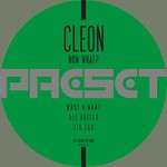 cover: Cleon - Now What?