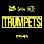 cover: Sak Noel|Salvi|Sean Paul - Trumpets