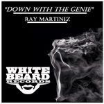 cover: Ray Martinez - Down With The Genie