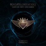 cover: Rich Curtis - Lower My Voice Part 2