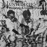 cover: Haunted Echo - Weaving A Liquid Dream