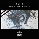 cover: Skitz - How Ya Like Me Now