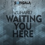 cover: Zuharu - Waiting You Here