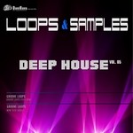 cover: Danirava Records Loops - Loops&Samples Vol 5: Deep House