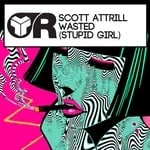 cover: Scott Attrill - Wasted