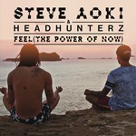 cover: Headhunterz|Steve Aoki - Feel