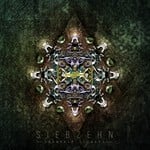 cover: Siebzehn - Starship Signals