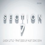 cover: Jason Little - What Goes Up Must Come Down