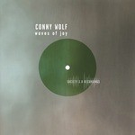 cover: Conny Wolf - Waves Of Joy