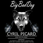 cover: Cyril Picard - What Do You Want