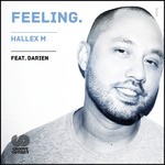 cover: Hallex M|Hallex M Feat Darien - Feeling