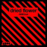 cover: Dried Flower - Delirious