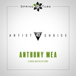 cover: Anthony Mea|Various - Artist Choice 043 Anthony Mea: Liquid DnB Selection (unmixed tracks)