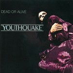 cover: Dead Or Alive - Youthquake