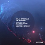 cover: Niklas Grosswald - The Blueprint