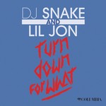 cover: Lil Jon|DJ SNAKE - Turn Down For What