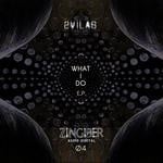 cover: 2vilas - What I Do