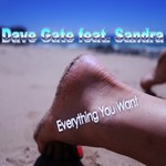 cover: Dave Gate - Everything You Want