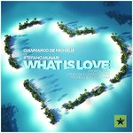 cover: Gian Marco De Michelis|Stefano Munari - What Is Love 2016