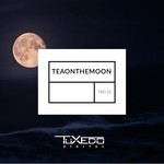 cover: Marco Fontana|Ilary Montanari|Brux|Audiodrom|Max Rania|Roderik Flohil - Teaonthemoon