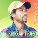 cover: Da Reggae Priest - What A System