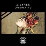 cover: A James - Wondering