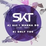 cover: Dj S.k.t - All I Wanna Do