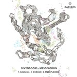 cover: Sevendoors - Mesoplodon