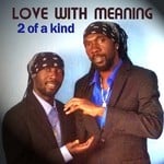 cover: 2 Of A Kind - Love With Meaning