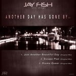 cover: Jay Fish - Another Day Has Gone By