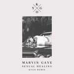 cover: Kygo|Marvin Gaye - Sexual Healing