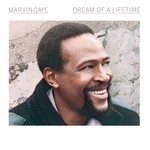 cover: Marvin Gaye - Dream Of A Lifetime