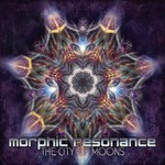 cover: Morphic Resonance - The City Of Moons