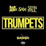 cover: Sean Paul|Salvi|Sak Noel - Trumpets