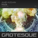 cover: Amir Hussain - Tylos