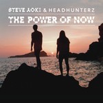 cover: Headhunterz|Steve Aoki - The Power Of Now