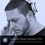 cover: Danilo De Santo|Various - Kaleydo Beats Session #16 (unmixed tracks)