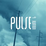 cover: Various - Pulse Vol 6: Deep Electronic Lounge Collection