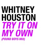 cover: Whitney Houston - Try It On My Own