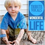 cover: Tribute Vocals - Wonderful Life