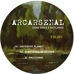 cover: Arcarsenal - Dark Skies & Wetlands