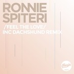 cover: Ronnie Spiteri - Feel The Love