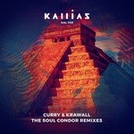 cover: Curry & Krawall - The Soul Condor (Remixes)